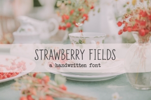 Strawberry Fields Script Font Download