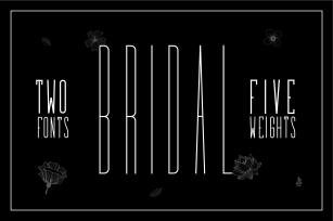 Bridal - Sans Serif Font Family Font Download