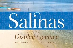 Salinas Font Download