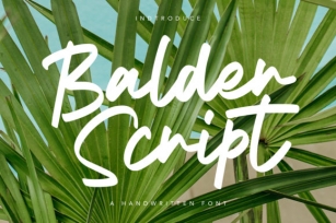 Balder Script Font Download