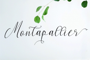 Montapallier script 2 style Font Download