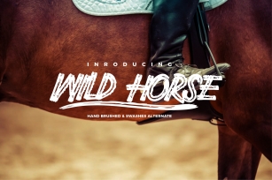 Wild Horse and Swashes Font Download
