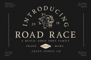 Road Race Font Family Extras Font Download