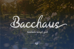 Bacchaus font - Script Fonts Font Download
