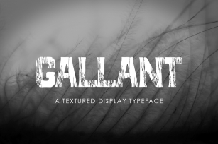 GALLANT - A Textured Display Font Font Download