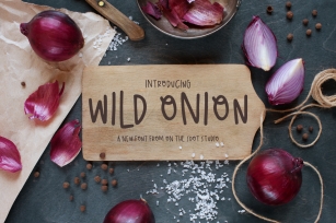 Wild Onion Font Download