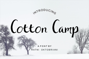 Cotton Camp - A Script Font Font Download