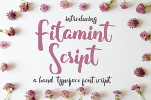 Fitamint Script - Font Font Download