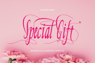 Special gift Font Download
