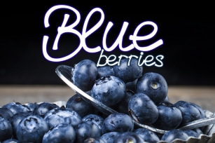 Blueberries - A Menu Font Font Download