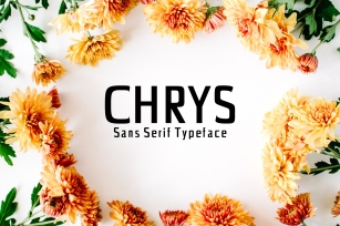 Chrys Sans Serif Typeface Font Download