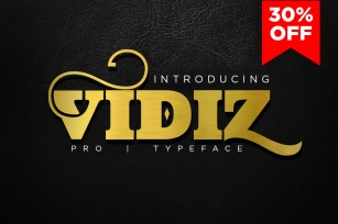 VIDIZ PRO Typeface Font Download