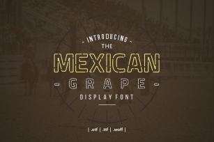 Mexican Grape Display Font Font Download