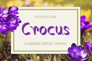 Crocus Typeface Font Download
