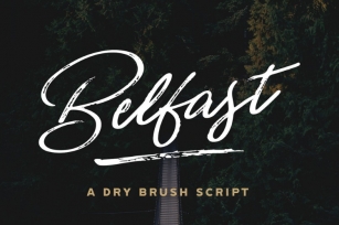 Belfast - A Dry Brush Script Font Download