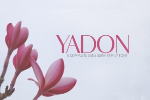 Yadon Sans Serif Typeface Font Download