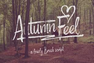 Autumn Feel font Font Download