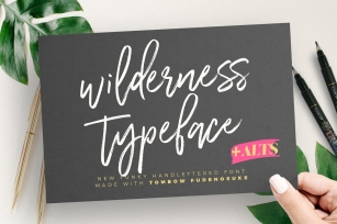 Wilderness Typeface Font Download