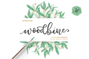 WOODBINE SCRIPT TRIO Font Download