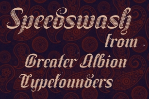 Speedswash Typeface Family Font Download