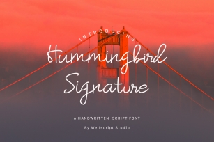Hummingbird - A Handwritten Script Font Font Download