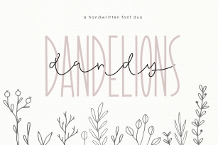 Dandy Dandelions - Handwritten Script & Print Font Duo Font Download