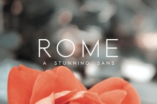 Rome | A Stunning Sans Serif Font Download