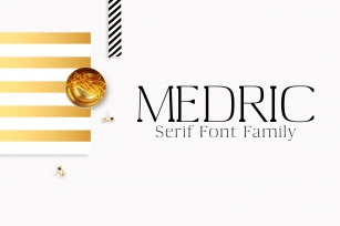 Medric Serif Font Family Font Download