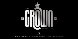 Silver Crown Font Download