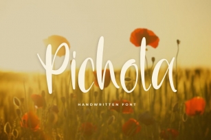 Pichola - Handwritten Font Font Download