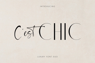 Chic Luxury Font Duo Font Download