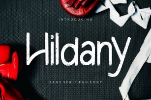Hildany Sans Fun Font Download