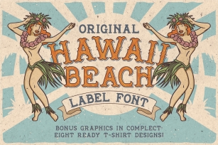 Hawaii Beach Typeface Font Download