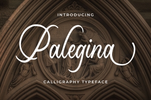 Palegina Calligraphy Typeface Font Download