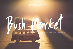 Bush Market Script Font Font Download