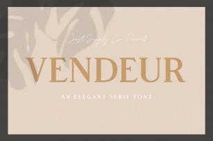 Vendeur - Elegant Serif Font Font Download