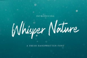 Whisper Nature Brush Script Font Font Download