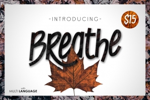 Breathe Typeface Font Download