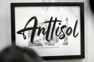 Anttisol - Handwritten Brush Font Font Download