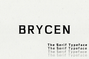 Brycen Serif Premium Font Family Font Download