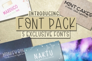 Font Bundle 5 Exclusive Fonts! Font Download