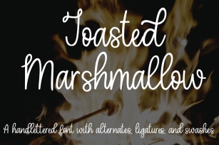 Toasted Marshmallow - A handlettered script font Font Download