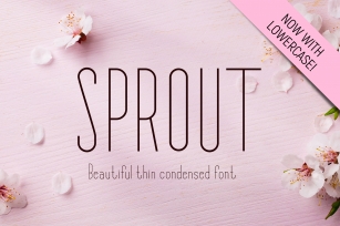 Sprout - Sans Serif Font Font Download