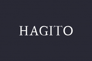 Hagito Serif Font Family Font Download
