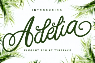 Adelia - Elegant Script Typeface Font Download