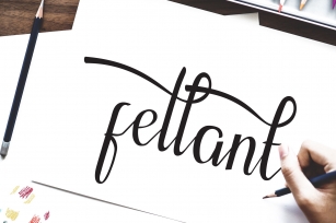 Fellant - Script Font Font Download