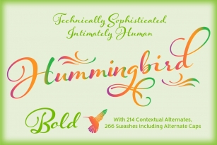 Hummingbird Bold Font Download