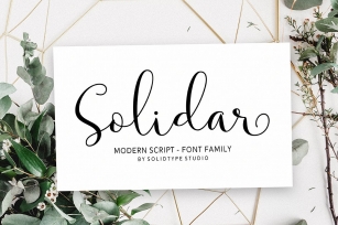 Solidar Font Family Font Download