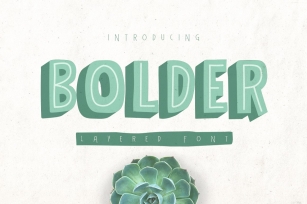 Bolder Typeface Font Download