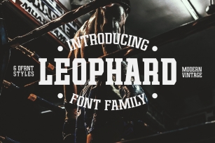 Leophard Font Family Font Download
